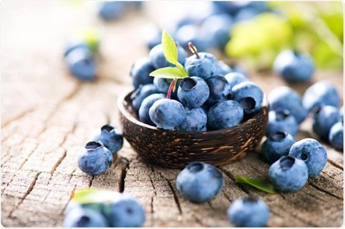 Blue Berries Hotel Ентебе Екстериор снимка